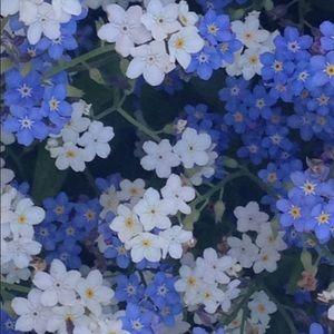 Meet your Posher, Sue